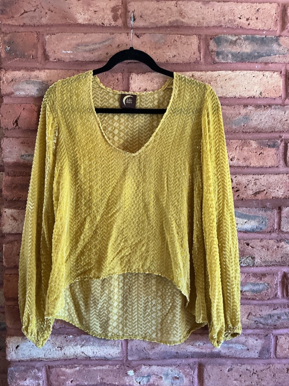 Blue Life Cut Velvet Blouse